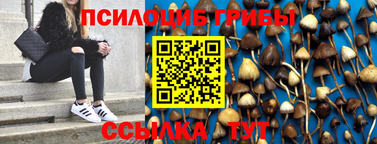 Псилоцибиновые грибы MAGIC MUSHROOMS Моздок
